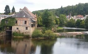 Les Fougères Du Lac